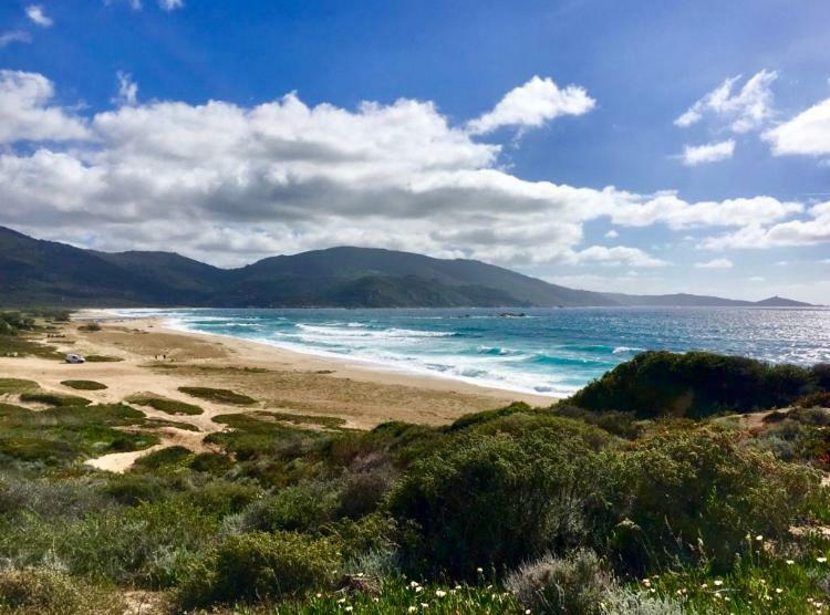 Magnifique Appartement Devant La Plage Propriano  Buitenkant foto